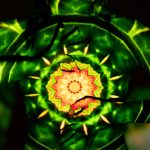 színes absztrak kép zöld sárga narancs árnyalatokkal reiki noonfiguratív